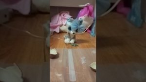 распаковка киндера ♥️
