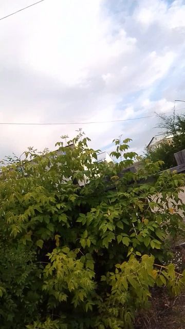 гуляю от первого лица