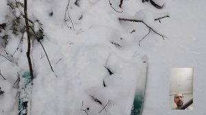 в зимнем лесу