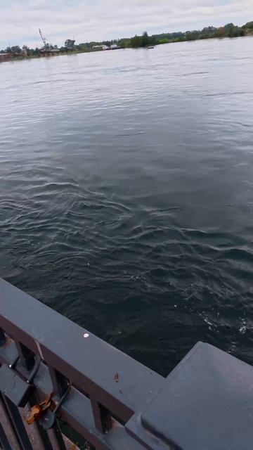 Гуляю в Иркутске по новой набережной. 🏞️