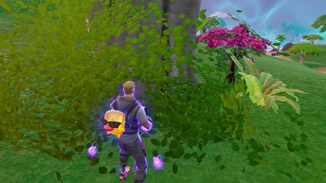 Fortnite   2026-08-19 10-42-05
