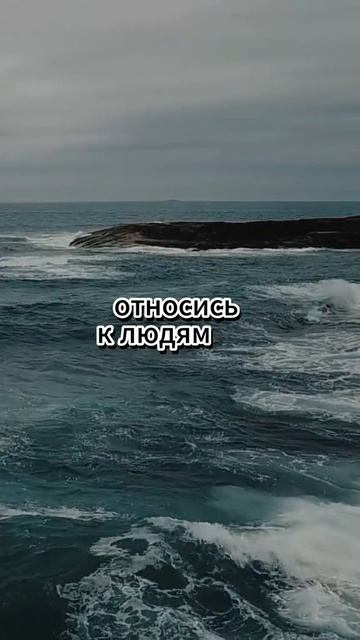 Xxx