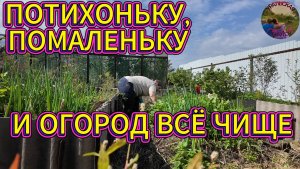КОГДА НЕ ТОРОПИШЬСЯ,А ПРОСТО ДЕЛАЕШЬ ШАГ ЗА ШАГОМ
