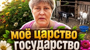 Моё царство—государство