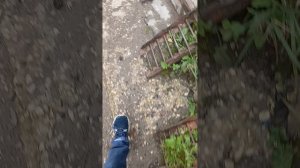 АПГ-1