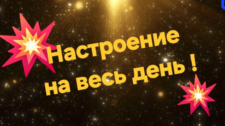 Послушаешь песню - и хорошее настроение на весь день 🔥