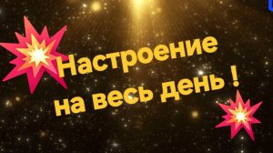 Послушаешь песню - и хорошее настроение на весь день 🔥