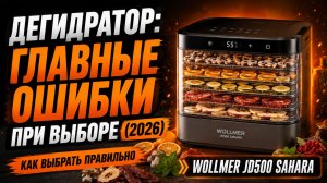 Как выбрать дегидратор в 2026 — сушилка для овощей, фруктов и мяса