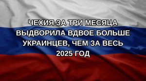 Чехия за три месяца выдворила вдвое больше украинцев, чем за весь 2025 год