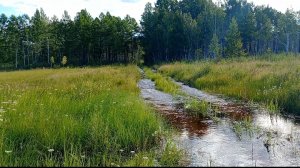 Кругом вода и бездорожье