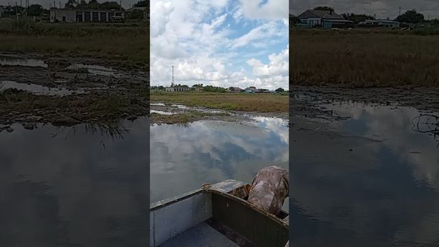 Мое начало