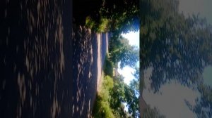 рокен роу