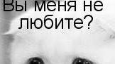 выменя нелюбите а если любите то подпишись