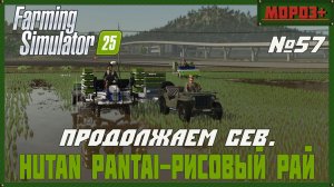 🟢Farming Simulator 25🟢. Карта  Hutan Pantai-Рисовый рай,  №57 Продолжаем сев.