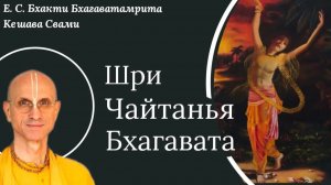 Погружение в лилы Харидаса Тхакура / ББ Кешава Свами