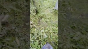 дневной обзор