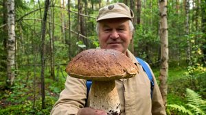 ТИХАЯ ОХОТА С БАТЕЙ. ХОДИТЬ МНОГО НЕ МОЖЕТ, НО ГРИБОВ НАБРАЛ
