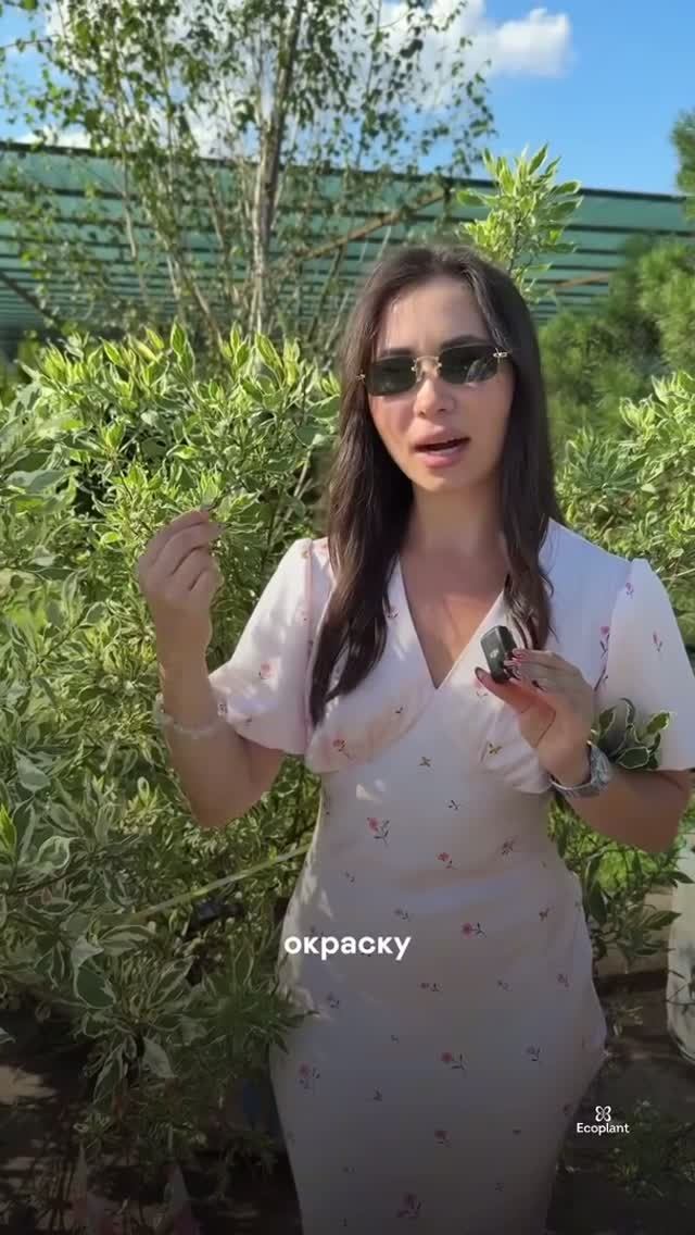Вот что сажают на Арбате! 🌿💎