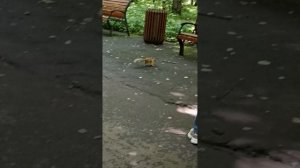 я с саней 2 часть