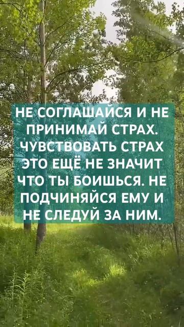 НЕ ПРИНИМАЙ