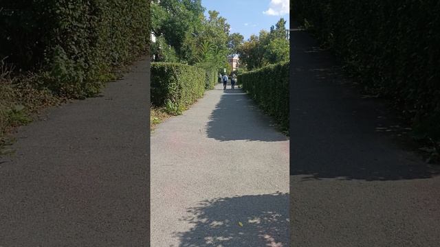 Погода кайф