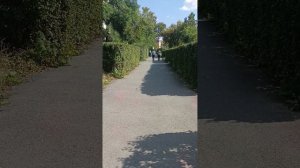 Погода кайф