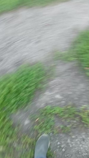 пр хомячки 3008