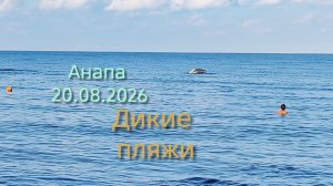 Анапа 20.08.2026 Дикие пляжи