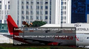 Вот и все пришли
