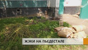 Отзывы татарстанцев о работе коммунальщиков проанализировали