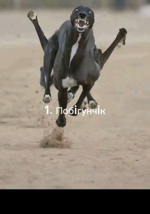 ничего не пишите ничего не спрашивайте