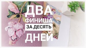 Продвижения за 10 дней АВГУСТА | Два финиша | Вышивка крестом