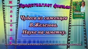 Чудеса из саженцев В.Железова. Науке на заметку.