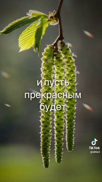 Доброе утро ☕🍩, хорошего дня 🤗👋❤️🙏
