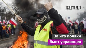 Польша переполнилась украинофобией. Беженцев избивают на улицах. Чего добиваются поляки?