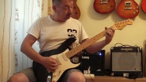 Grass Roots Stratocaster (ESP)