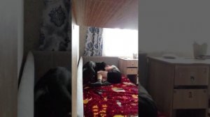 как я с сражаюсь с Максом