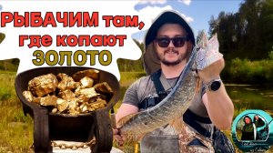 Рыбалка на ЩУКУ в Маслянинском районе. Золотые рудники, село Егорьевское
