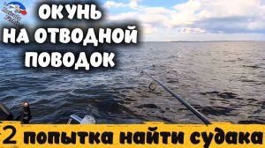 Окунь на отводной поводок. Вторая попытка найти судака.