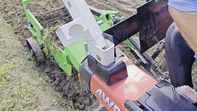 Трактор Кентавр (Kubota) 344 + картофелекопалка Флагман 2-540 без смещения. Собрали урожай картошки