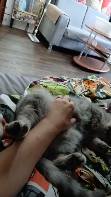 Наши кайфушки с Китти
