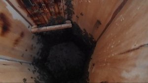 Пересаживаю пойманный рой 2