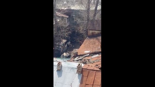 Передержка собак во дворе аварийного дома