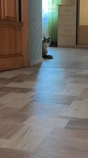 Воспоминания