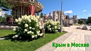 Взломали Макс /Зеленоград /Рецепты из кабачка