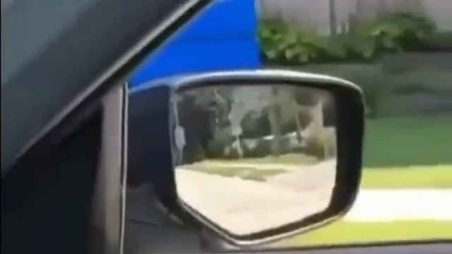 Как же эпично все это выглядит
подпишись 👆 👆 👆