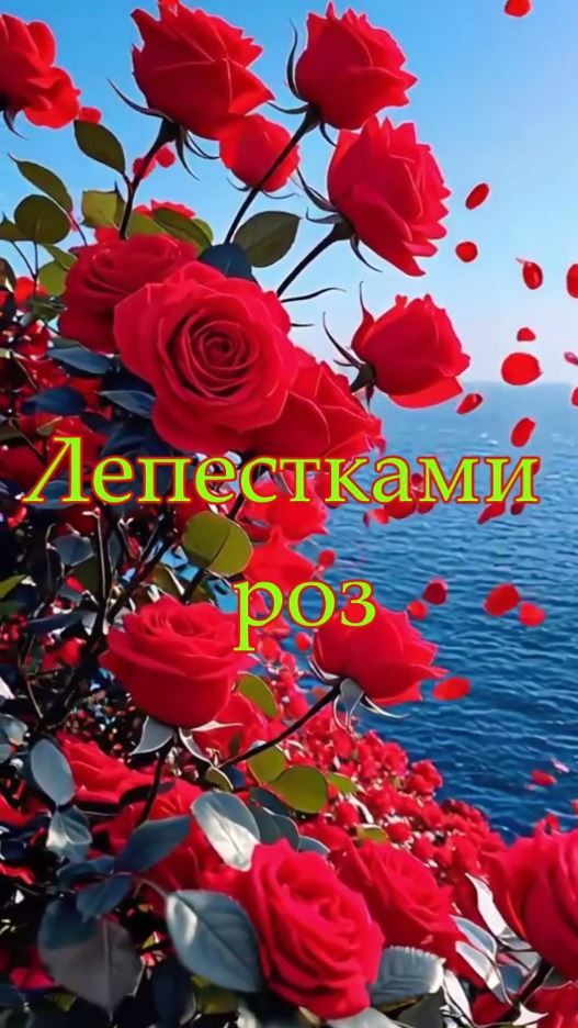 Лепестками роз (стихи Татьяна Федоткина)🌟 💐 💎 ❤