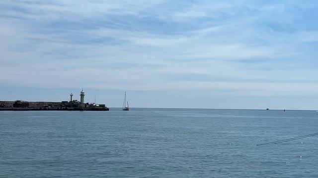 Ялта. Кофе. Море. Набережная. Цветущий гибискус. Август 2026. Крым. Yalta. Russia.