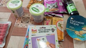 Шатания попрошайки и вкусная паста с мидиями.