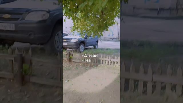 Гуляем с ребятами на деревьях